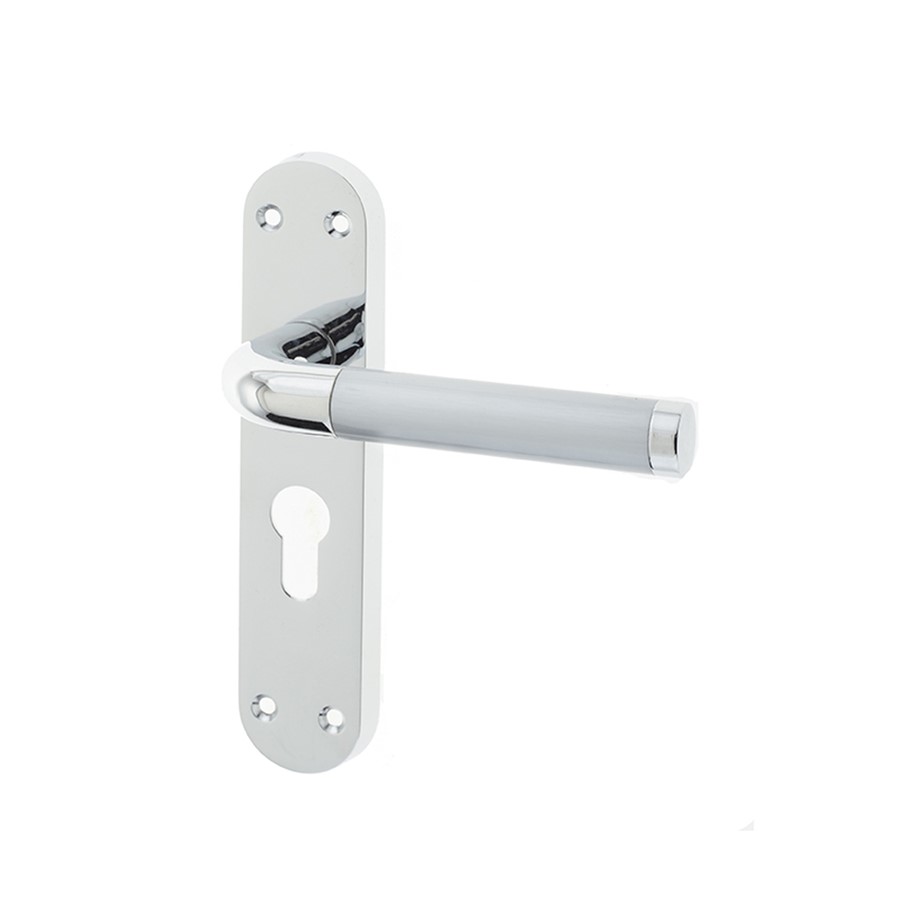 TWIN LEVER EURO ON BACKPLATE 185 X 40MM PCSC
