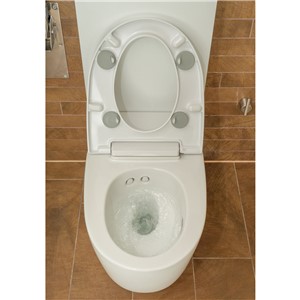 image of gebrit aquaclean mera care floor standing shower toilet 