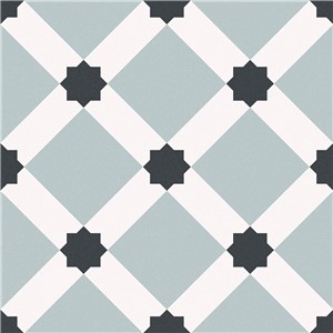 NB16782 DURHAM PORCELAIN WALL AND FLOOR TILE  250X250