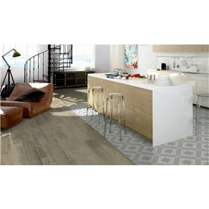 NB16784 CLIFTON PORCELAIN WALL AND FLOOR TILE 250X250