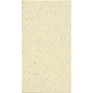 NB18060 GULFSTONE™ ESSEL BEIGE FINE GRAIN QUARTZ 300X600