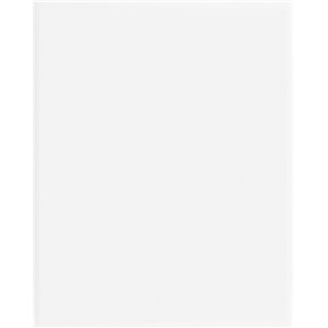 NB8692 NICOBOND GLOSS WHITE WALL TILE 200X250X6 (2018)