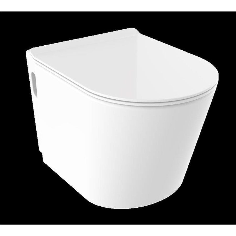 SURFACE STANDARD FLUSH BTW SUITE WITH SOFT CLOSE QUICK RELEASE SEAT
