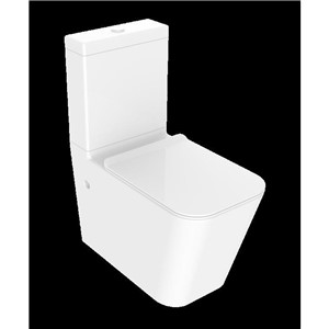 INDO RIMLESS FLUSH CLOSE COUPLED PAN