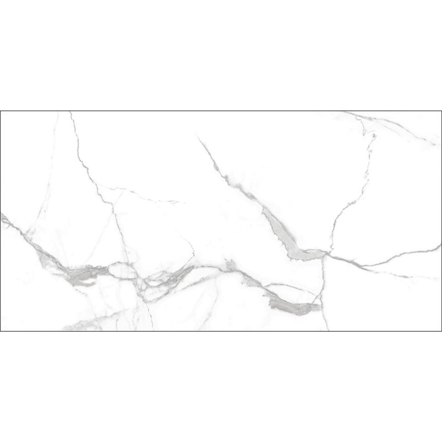 NB15969 INFINITY WHITE MARBLE NAT. PORCELAIN FLOOR & WALL TILE 300X600