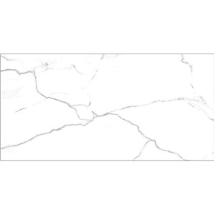 T1235971.jpg