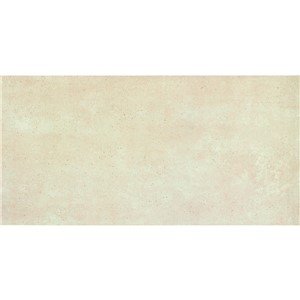 NB17240 OPTION BEIGE WALL TILE 310X610