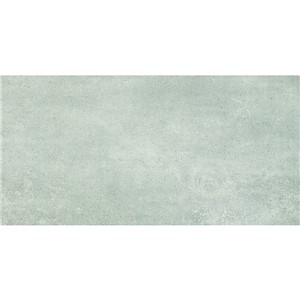 NB17241 OPTION GREY WALL TILE 310X610