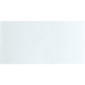 NB17252 SPARK MATT WHITE WALL TILE 310X610