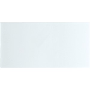 NB17252 SPARK MATT WHITE WALL TILE 310X610