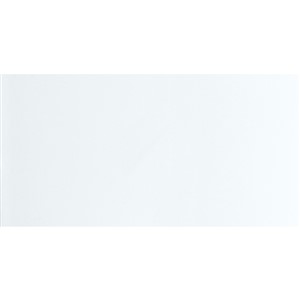 NB17253 SPARK GLOSS WHITE WALL TILE 310X610