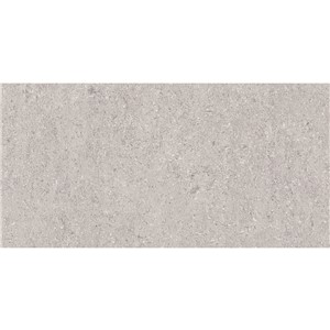 NB17361 LIVING DOUBLE LOADED GREY POLISHED PORCELAIN 300X600