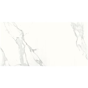 NB17971 STATUARIO POLISHED PORCELAIN WALL & FLOOR TILE 600X1200