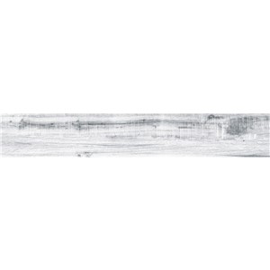 T1246460_C