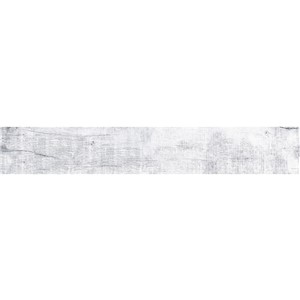 T1246466_E
