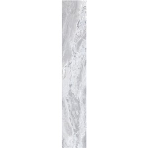 T1246489_C