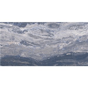 T1246493_A
