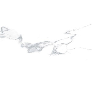 T1246501_A