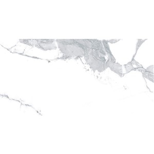 T1246501_B