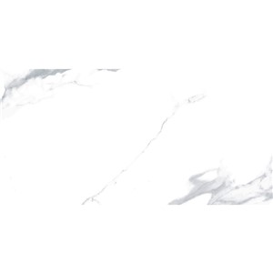 T1246501_D