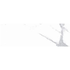 T1246504_C