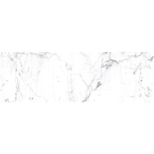 T1246505_B