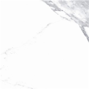 T1246507_B