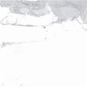 T1246507_C