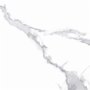 T1246507_D