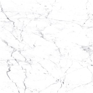 T1246508_A