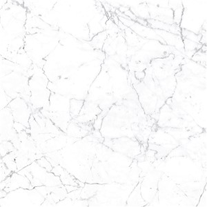 T1246508_B