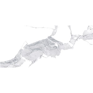 T1246510_A