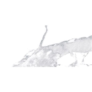 T1246510_C