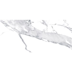 T1246510_F