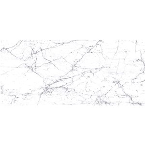 T1246511_A