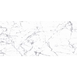 T1246511_D