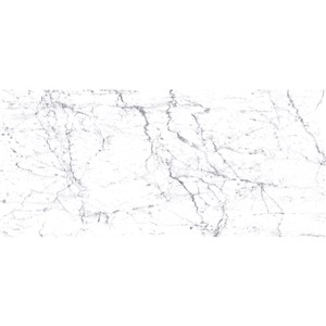T1246511_E