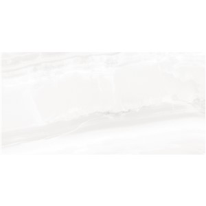 T1246531_C