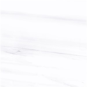T1246536_E