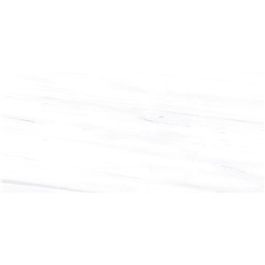 T1246539_B