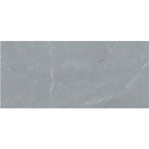 T1246541_E