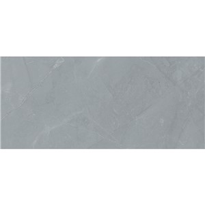 T1246541_F