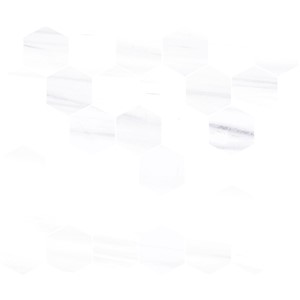 NB17898 MARBELLOUS DOLOMITE BIANCO HEXAGON MOSAIC 330X300