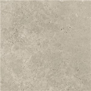 T1246933 (1)