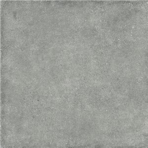 T1246935 (2)