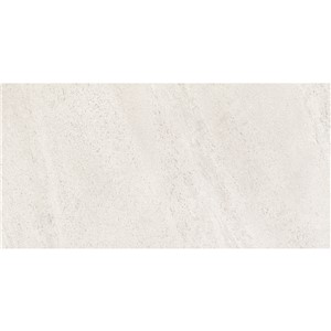 NB18432 ALPINE HIELO PORCELAIN WALL & FLOOR TILE 295X590