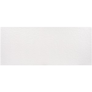 NB18445 SMART WHITE WALL TILE 250X600