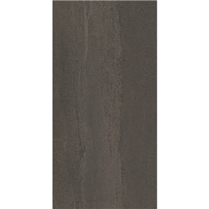 NB18455 LAKESTONE BLACK PORCELAIN WALL & FLOOR TILE 300X604