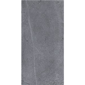 T1248311_C