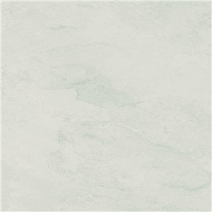 NB18386 FUTURE STONE WHITE FLOOR TILE 450X450